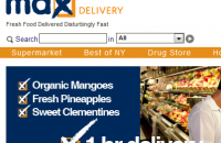 Max Delivery a case study for business growth strategies